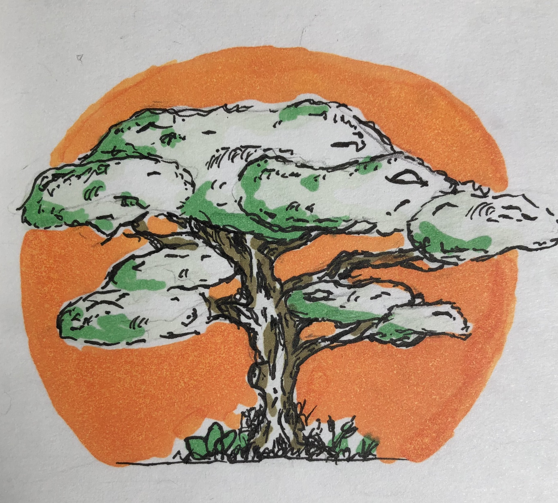 Arbre aux feutres à alcool
