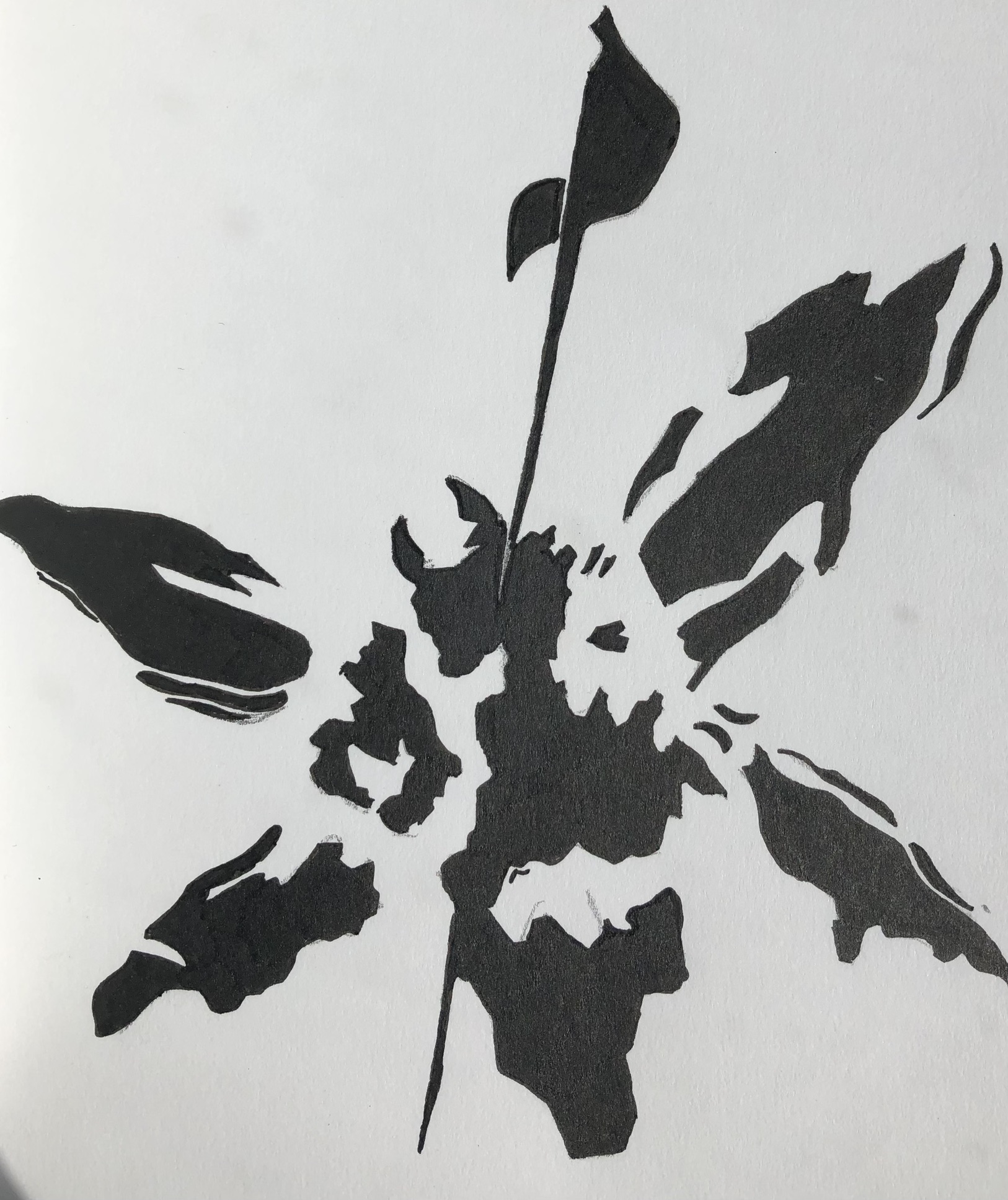 Hybrid Theory — Linkin Park
