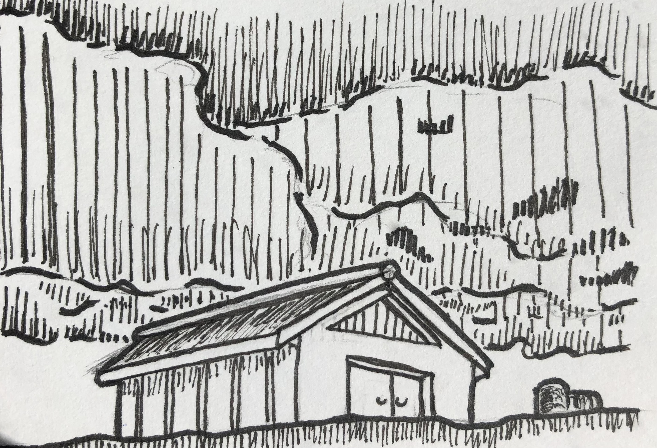 Création #29