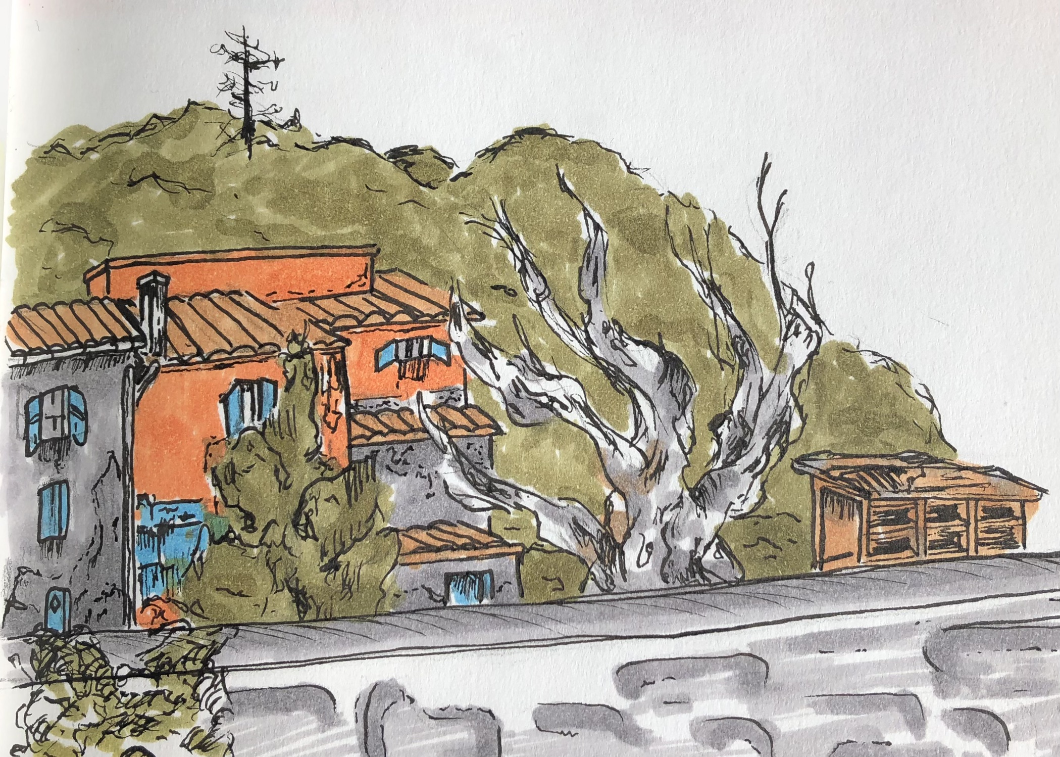 Paysage du Gard