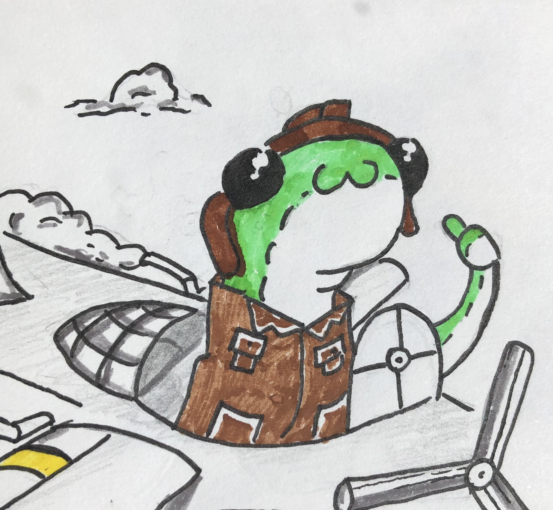 Nessie aviateure